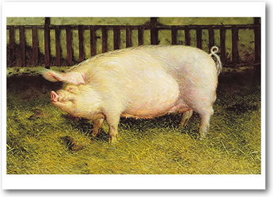 Portrait of Pig © Jamie Wyeth