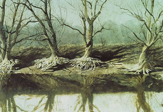 Brandywine Spider (1973)