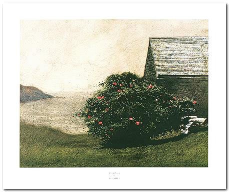 [Island Roses]