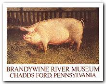 [Pig]